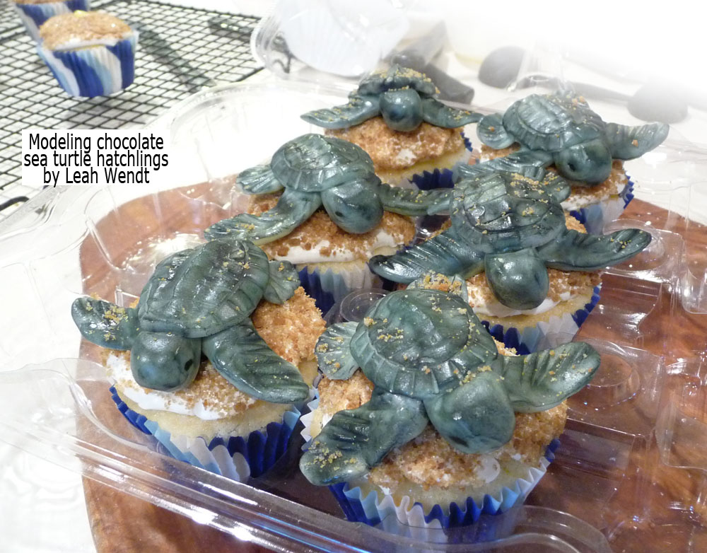 modeling chocolate sea turtle hatchlings on cupcakes